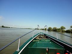 sulina iunie 2013